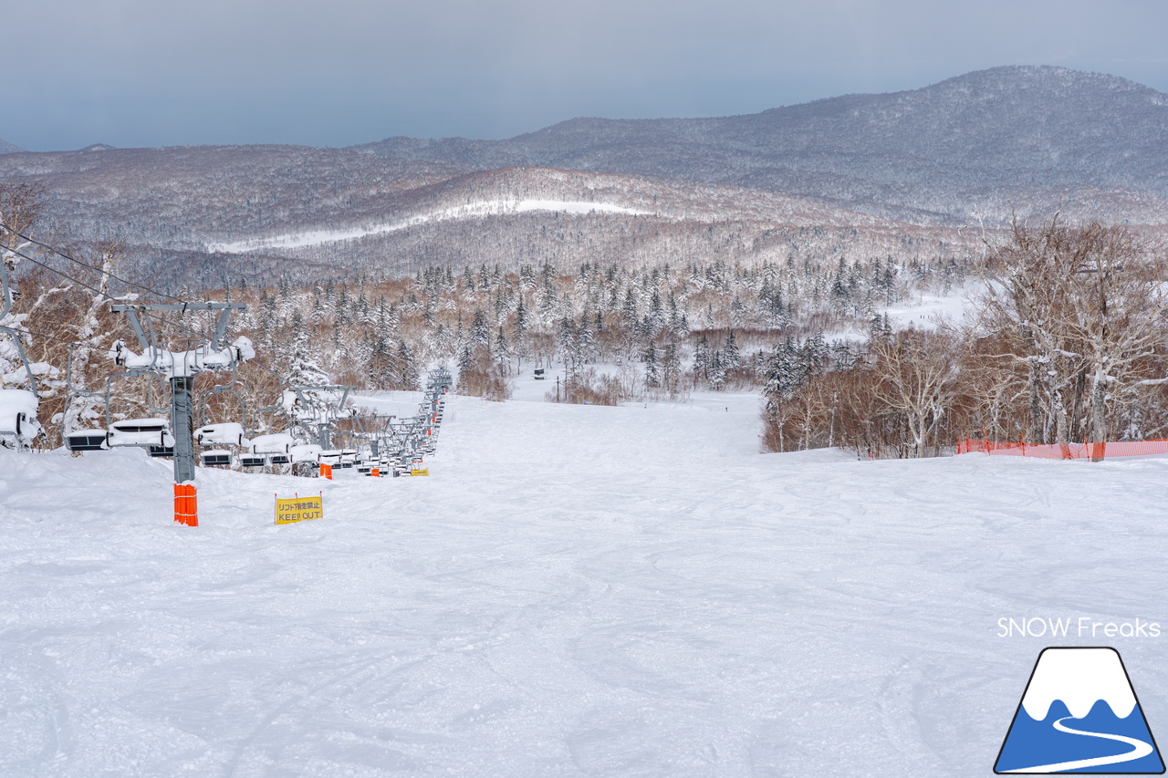 札幌国際スキー場｜３月の平日。粉雪コンディション、ゴンドラ＆リフト待ち無し、もちろん、ゲレンデも混雑無し。要するに、最高です(^_-)-☆